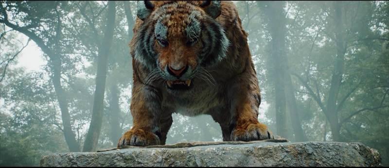 4_tiger02.jpg