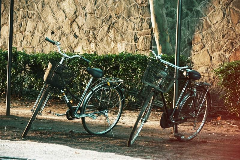 「18歳、きみがいた」写真5