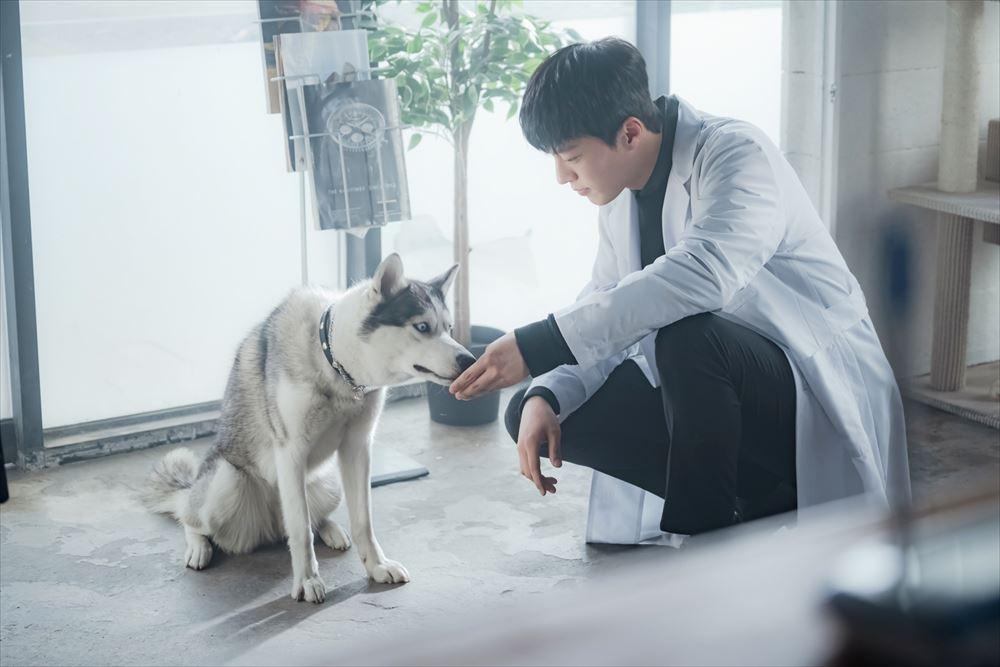 チャン・ギヨンと犬