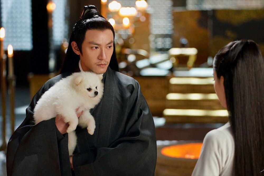 チャン・チェンと犬